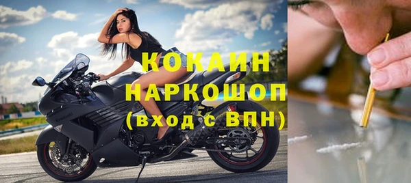 ALPHA-PVP Няндома