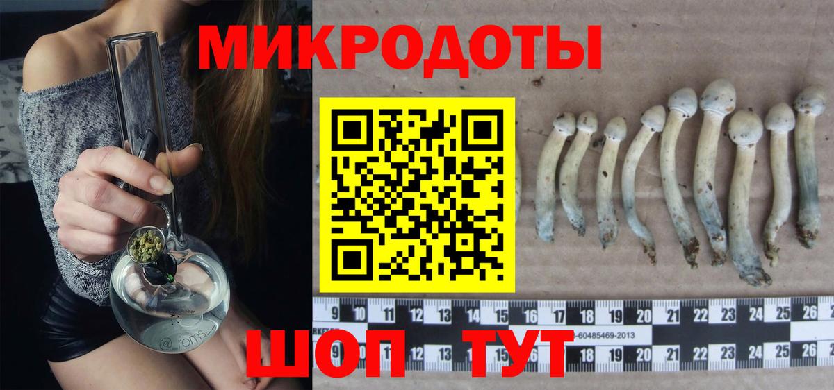Галлюциногенные грибы прущие грибы Туймазы