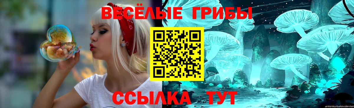 Туймазы  Галлюциногенные грибы Psilocybe  Псилоцибиновые грибы мицелий  Вход с VPN 