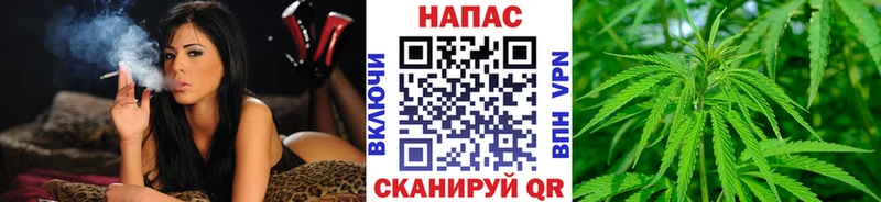блэк спрут зеркало  Туймазы  Шишки марихуана гибрид 